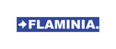 Flaminia Logo - Weiter zur Webseite